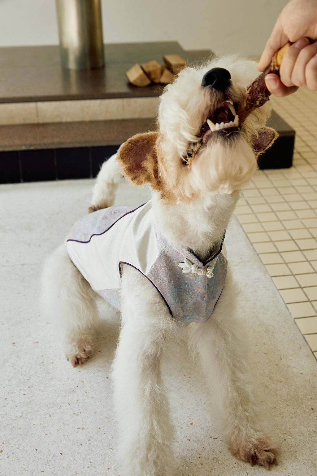 Ivory & Lavender Brocade Dog Cape – Pearl Frog Closure