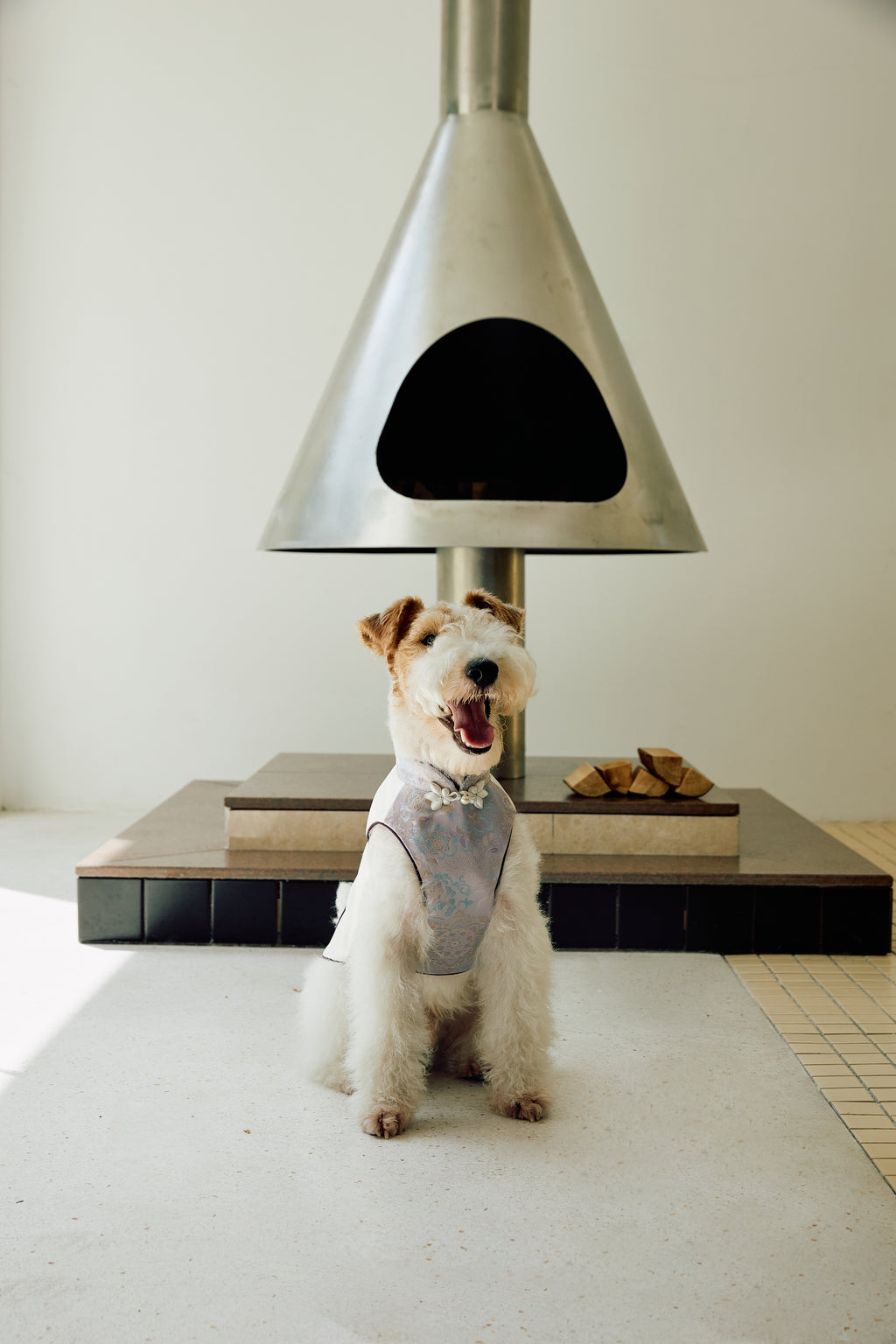 Ivory & Lavender Brocade Dog Cape – Pearl Frog Closure