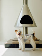 Ivory & Lavender Brocade Dog Cape – Pearl Frog Closure