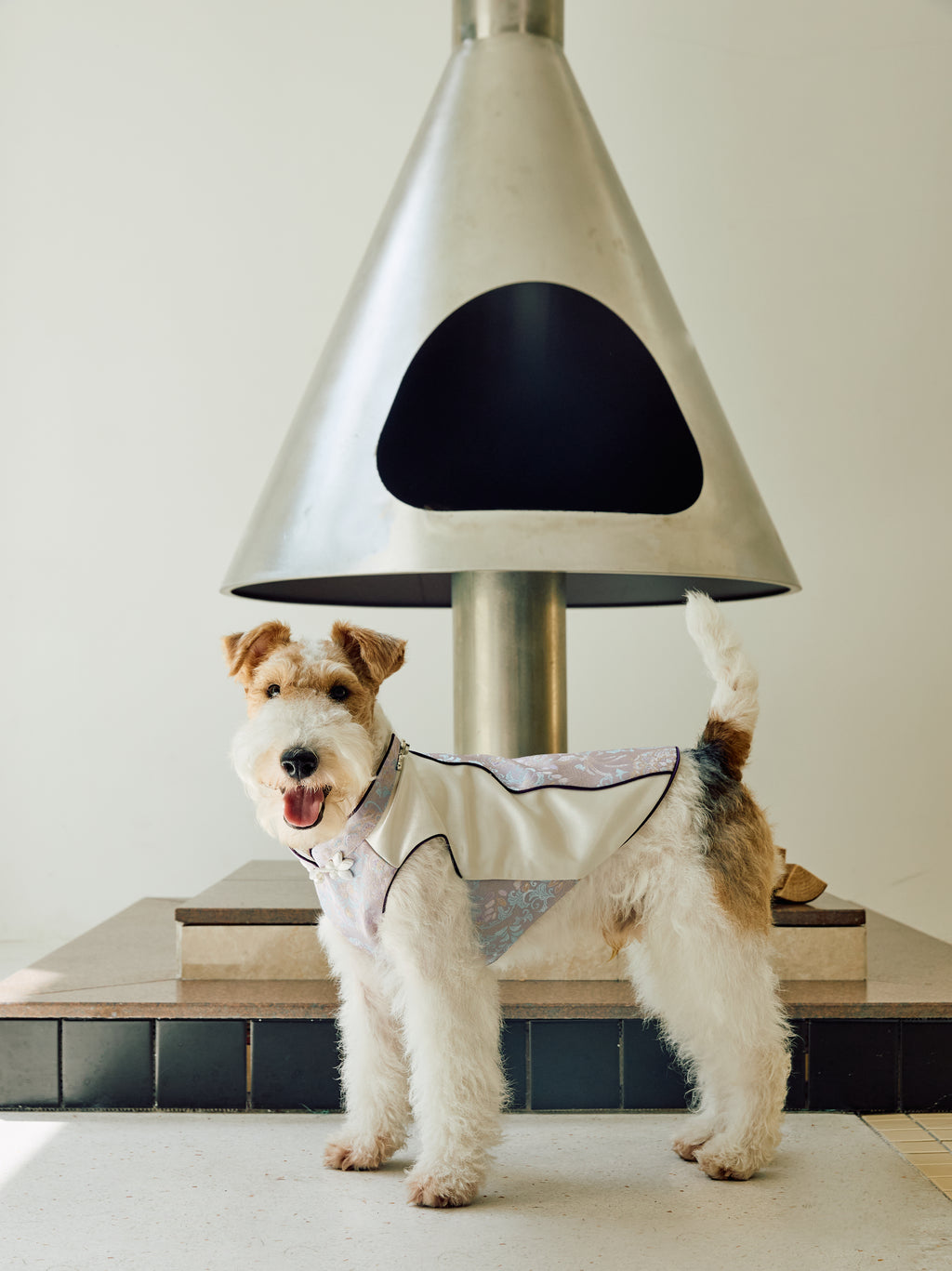 Ivory & Lavender Brocade Dog Cape – Pearl Frog Closure