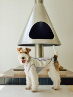 Ivory & Lavender Brocade Dog Cape – Pearl Frog Closure