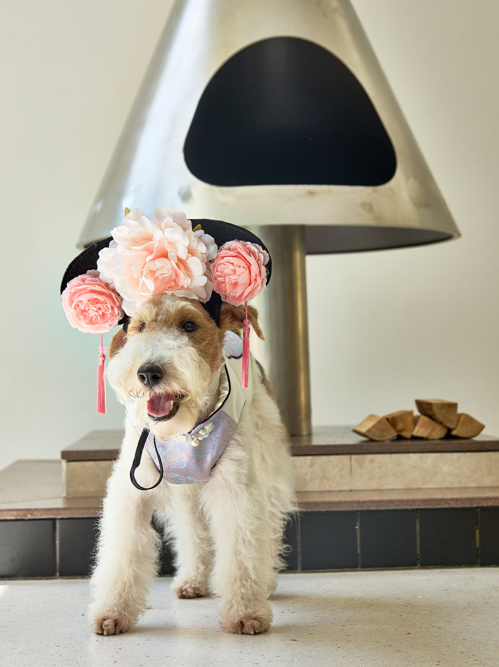 Ivory & Lavender Brocade Dog Cape – Pearl Frog Closure