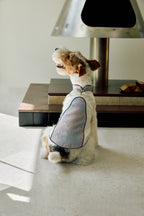 Ivory & Lavender Brocade Dog Cape – Pearl Frog Closure