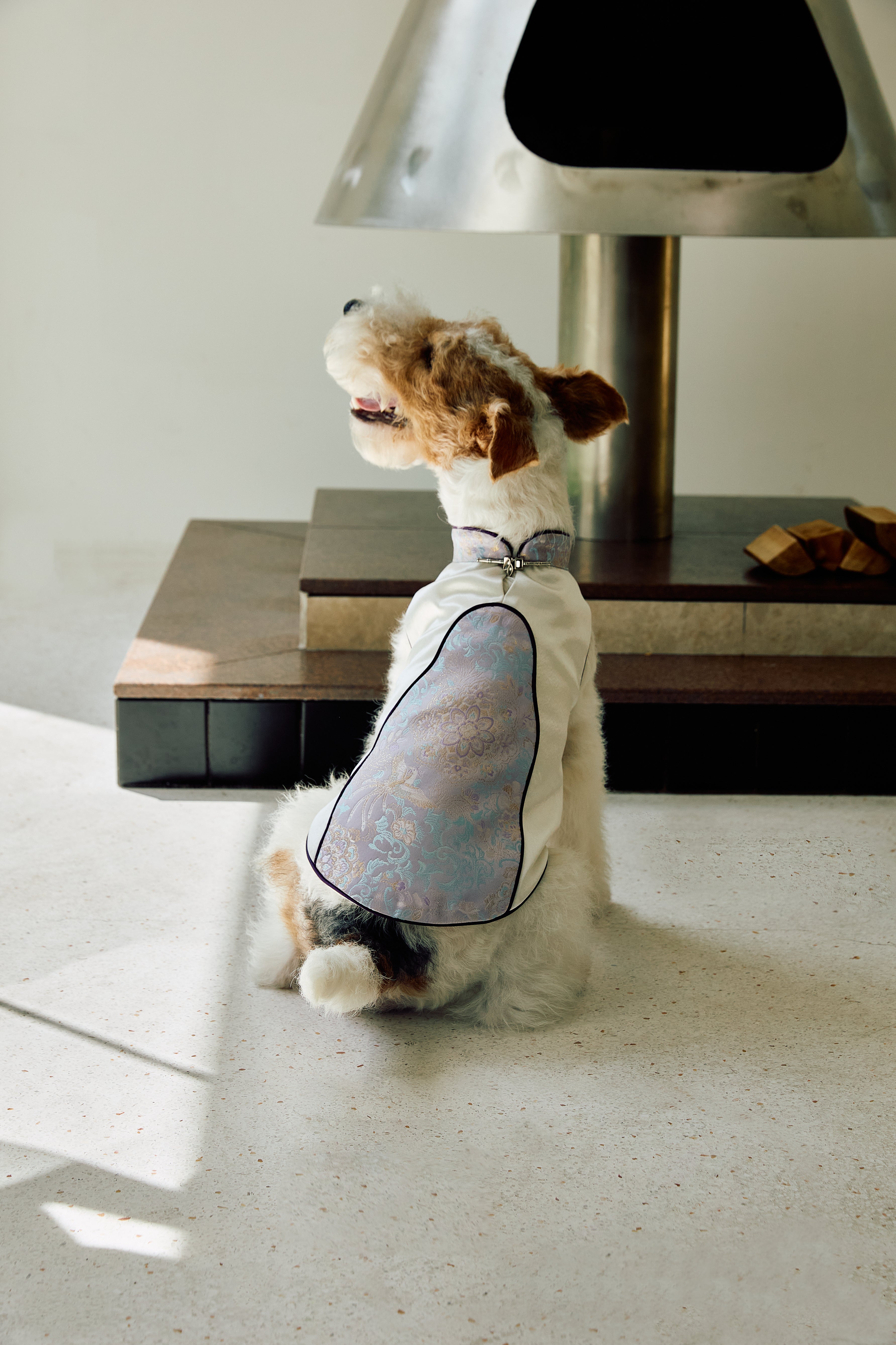 Ivory & Lavender Brocade Dog Cape – Pearl Frog Closure