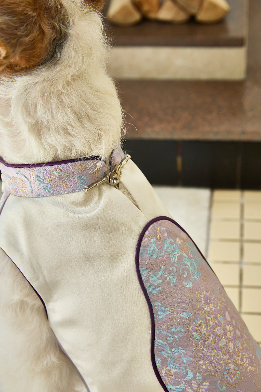 Ivory & Lavender Brocade Dog Cape – Pearl Frog Closure