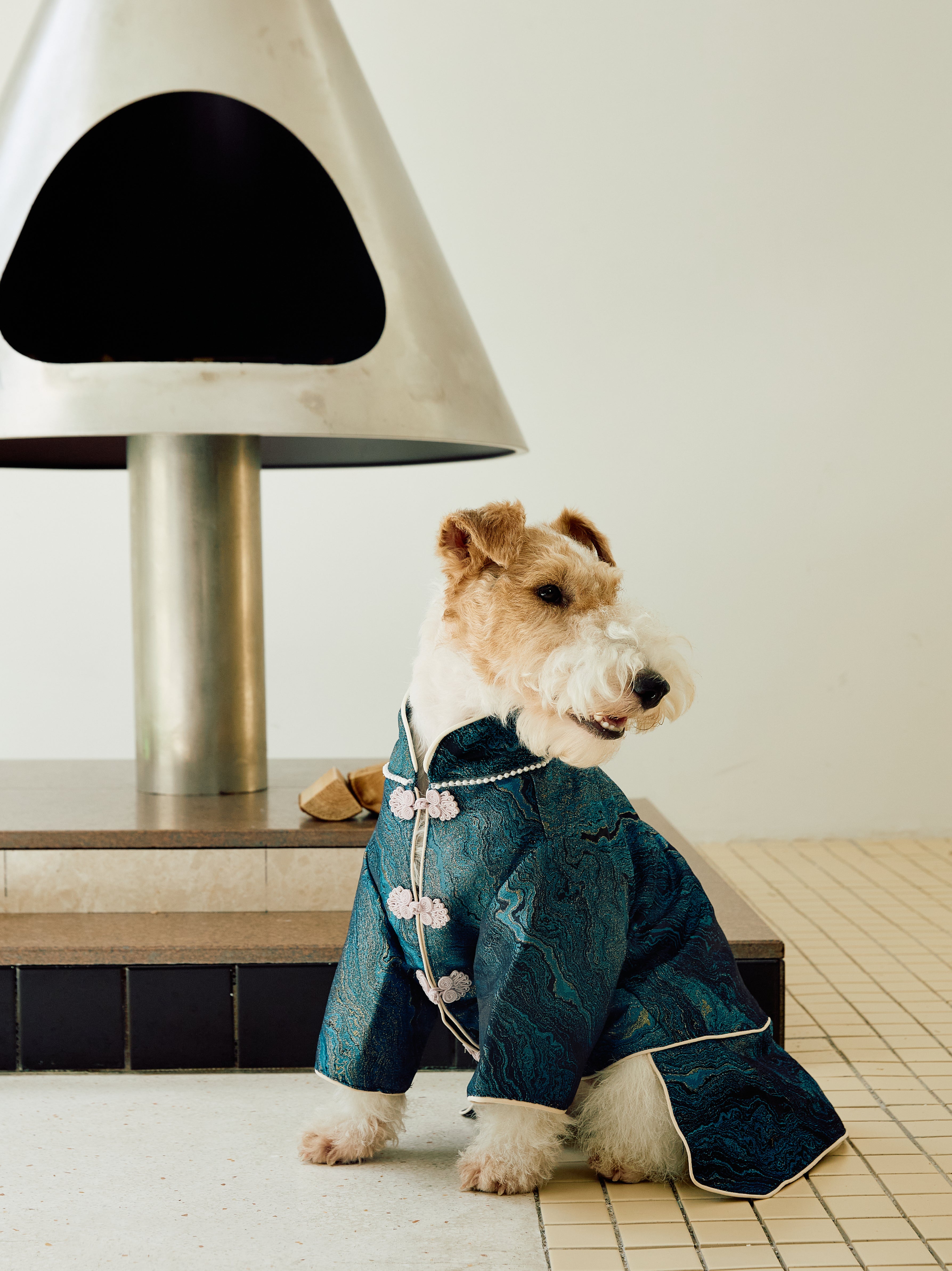 Deep Teal Agate Brocade Dog Coat – Pink Frog Closures