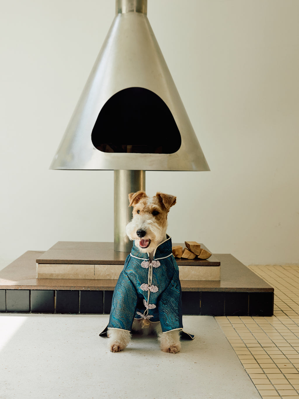 Deep Teal Agate Brocade Dog Coat – Pink Frog Closures
