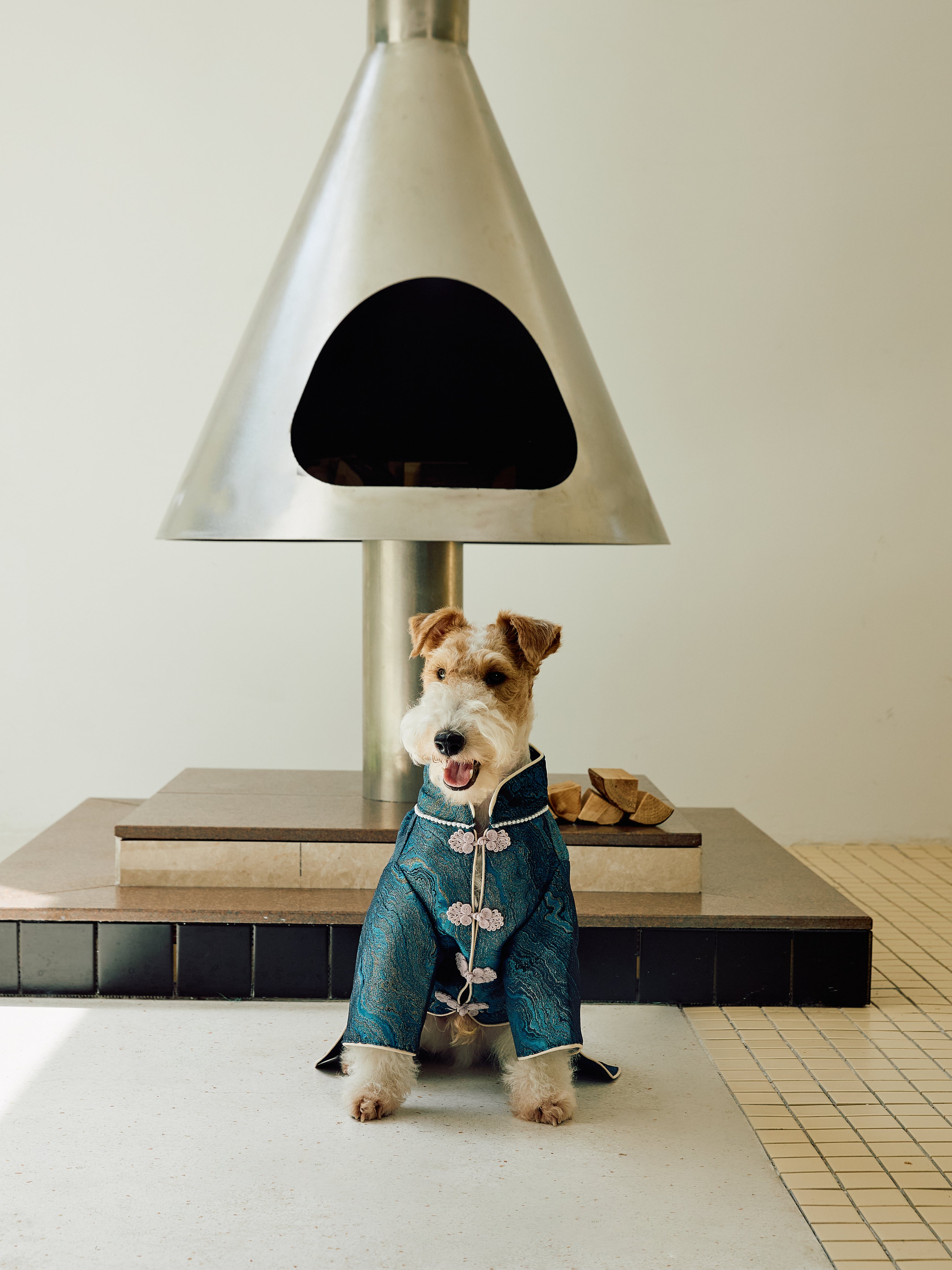 Deep Teal Agate Brocade Dog Coat – Pink Frog Closures