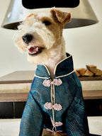 Deep Teal Agate Brocade Dog Coat – Pink Frog Closures