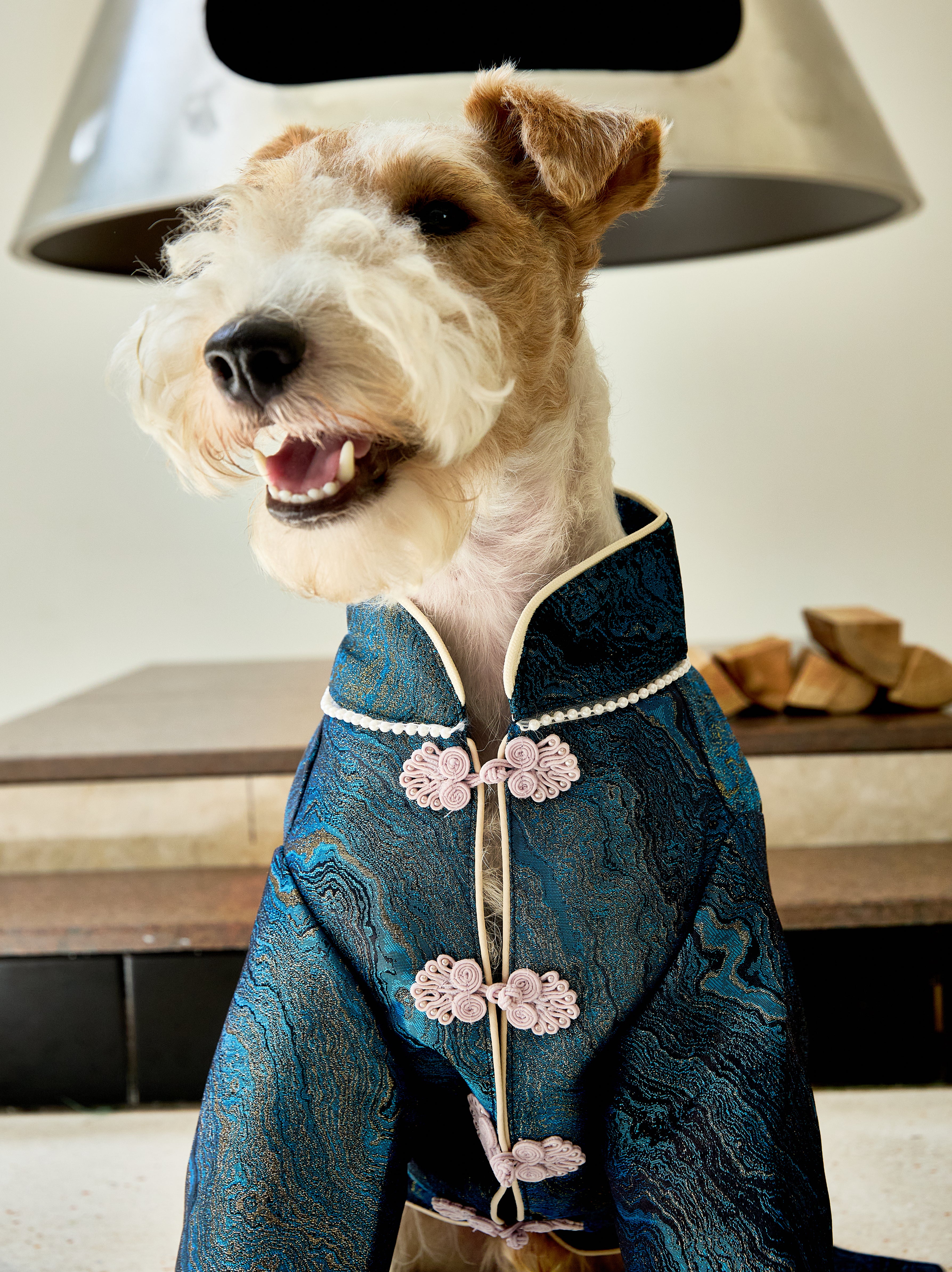Deep Teal Agate Brocade Dog Coat – Pink Frog Closures