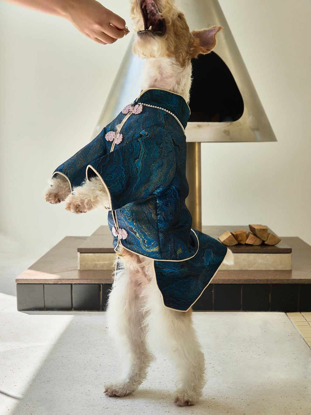 Deep Teal Agate Brocade Dog Coat – Pink Frog Closures