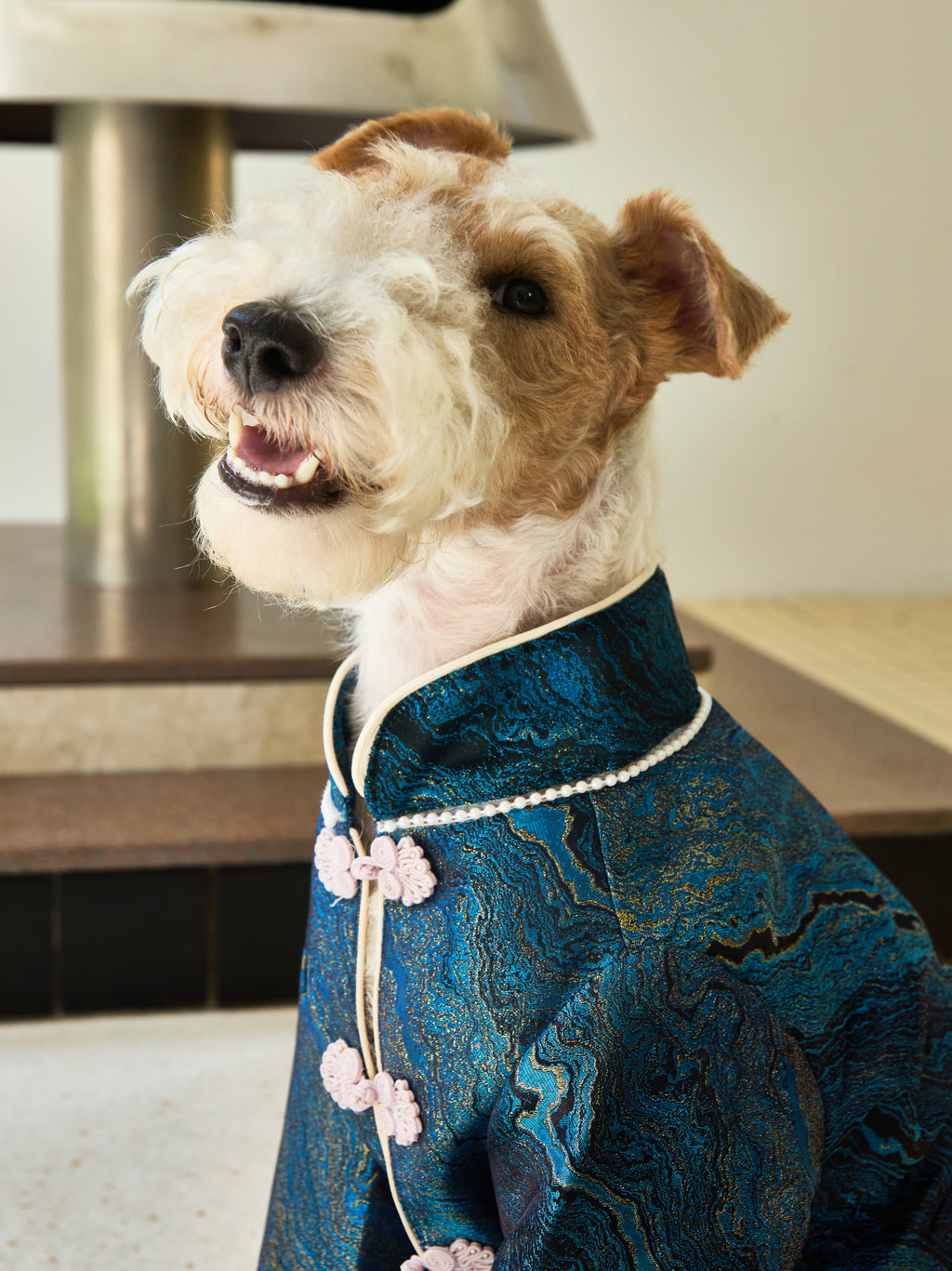 Deep Teal Agate Brocade Dog Coat – Pink Frog Closures