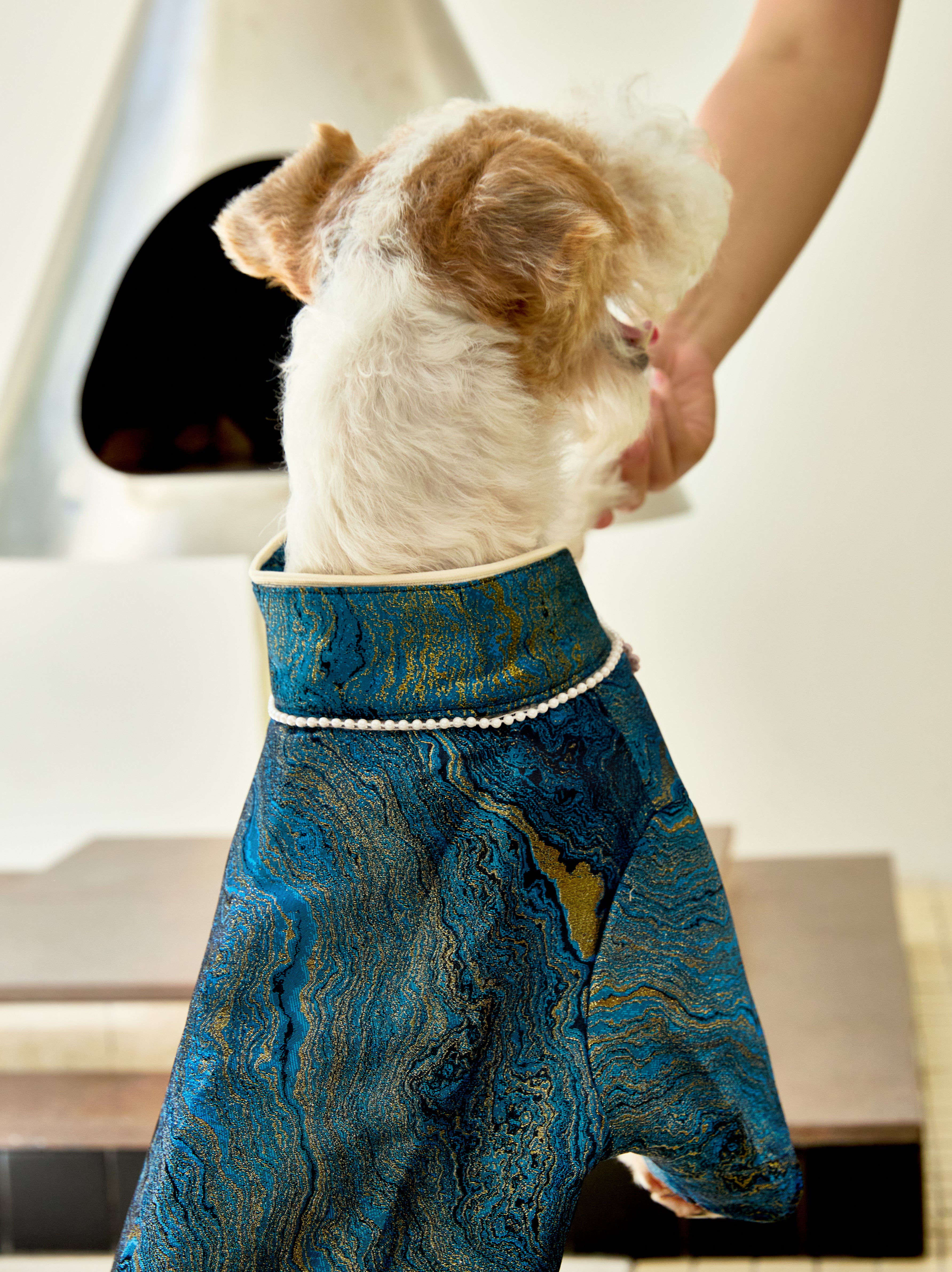 Deep Teal Agate Brocade Dog Coat – Pink Frog Closures