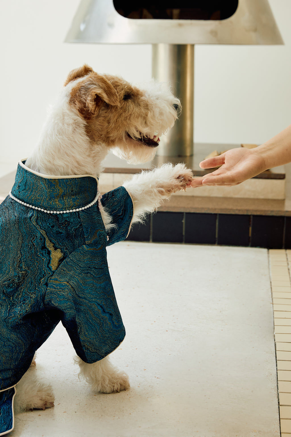 Deep Teal Agate Brocade Dog Coat – Pink Frog Closures