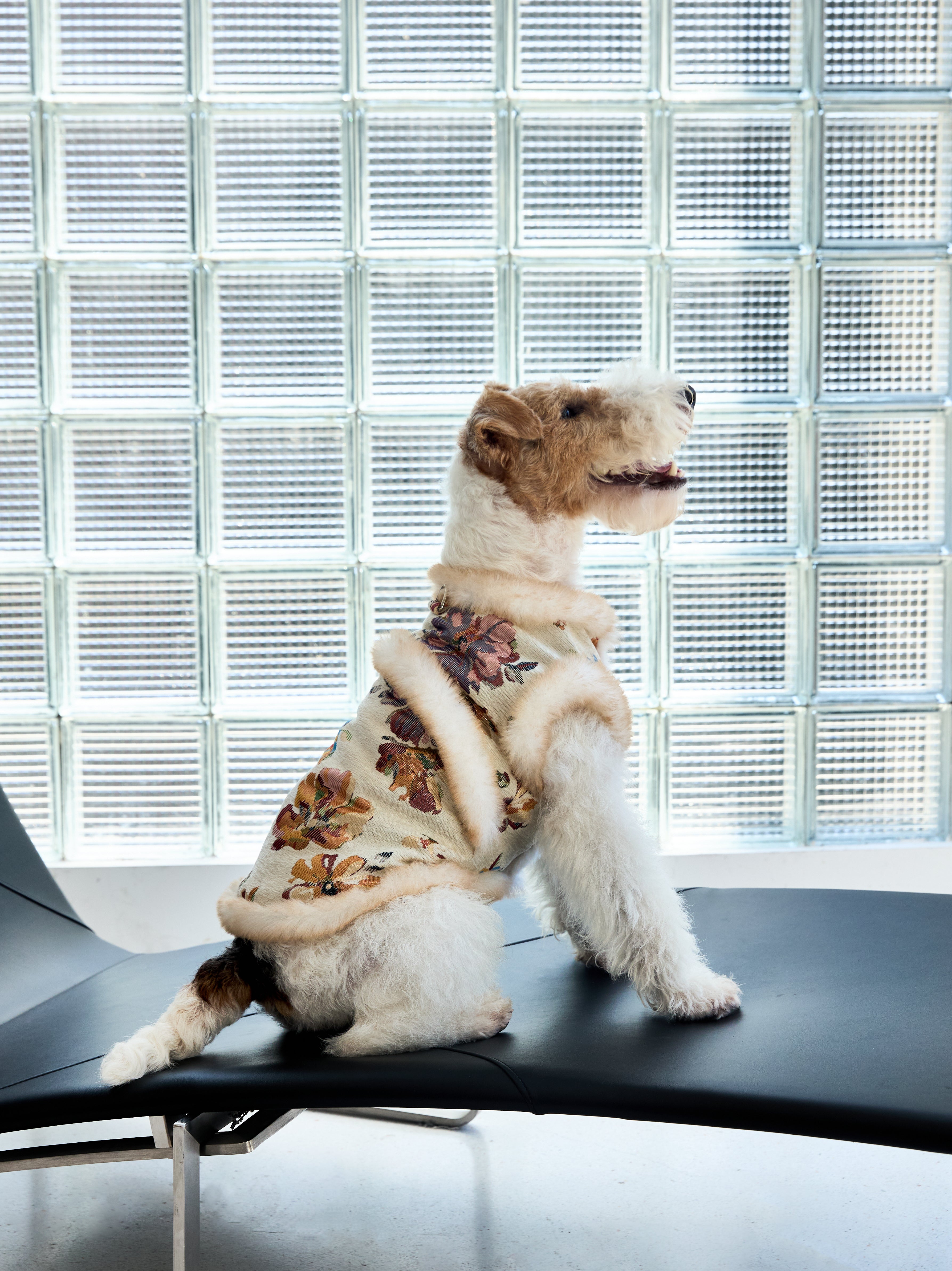 Ivory Floral Brocade Dog Vest – Plush Faux-Fur Trim