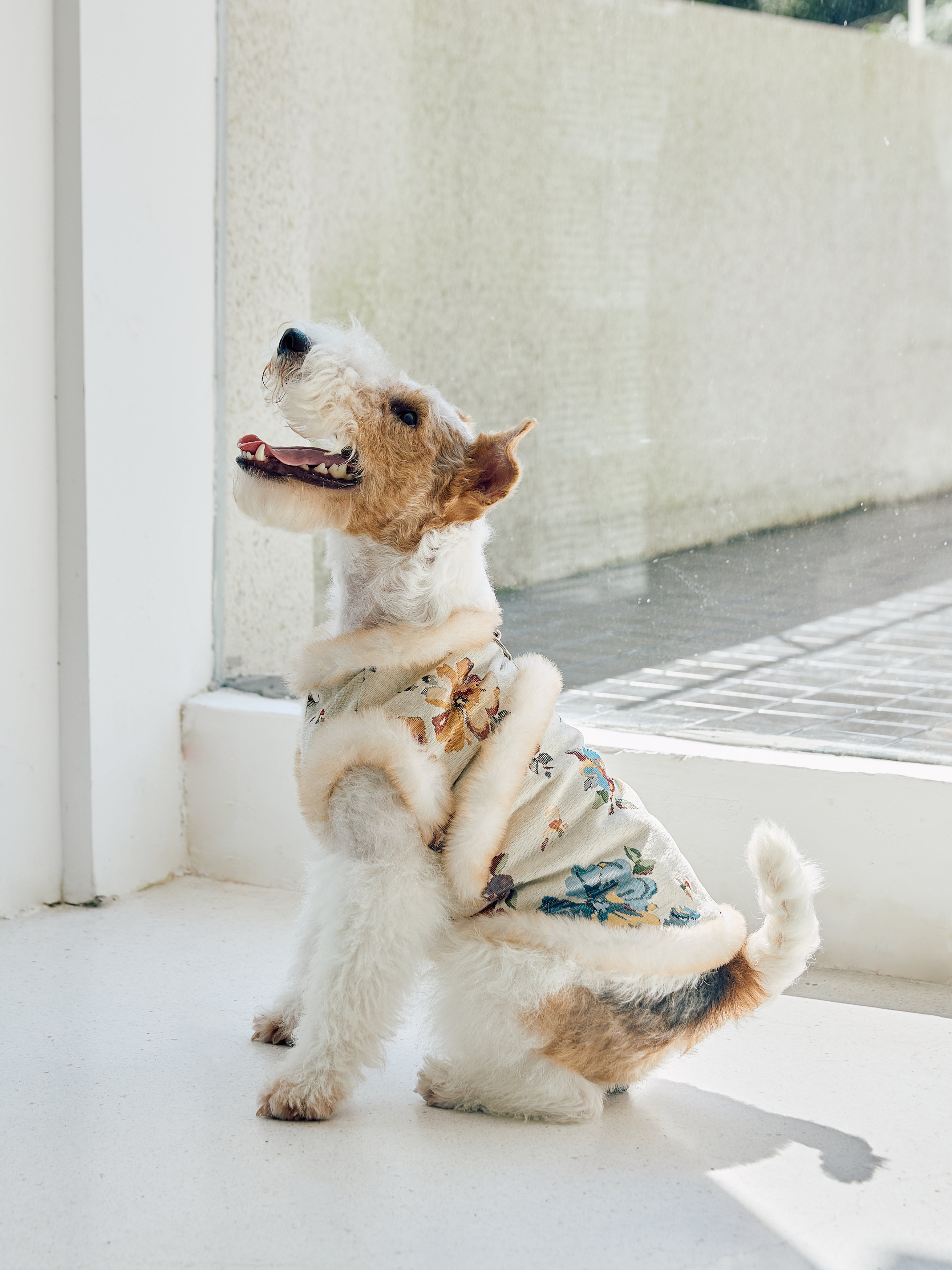 Ivory Floral Brocade Dog Vest – Plush Faux-Fur Trim