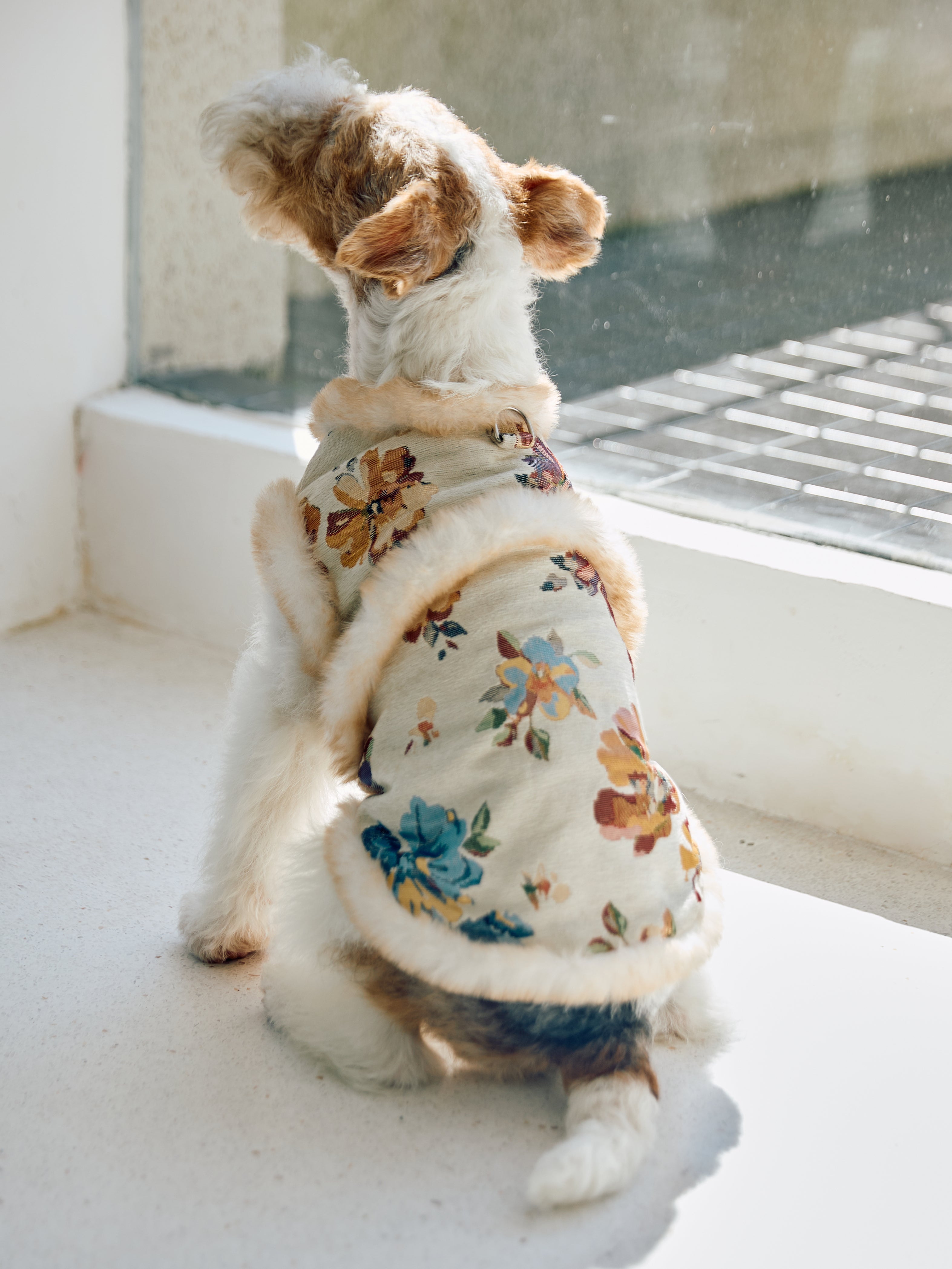Ivory Floral Brocade Dog Vest – Plush Faux-Fur Trim