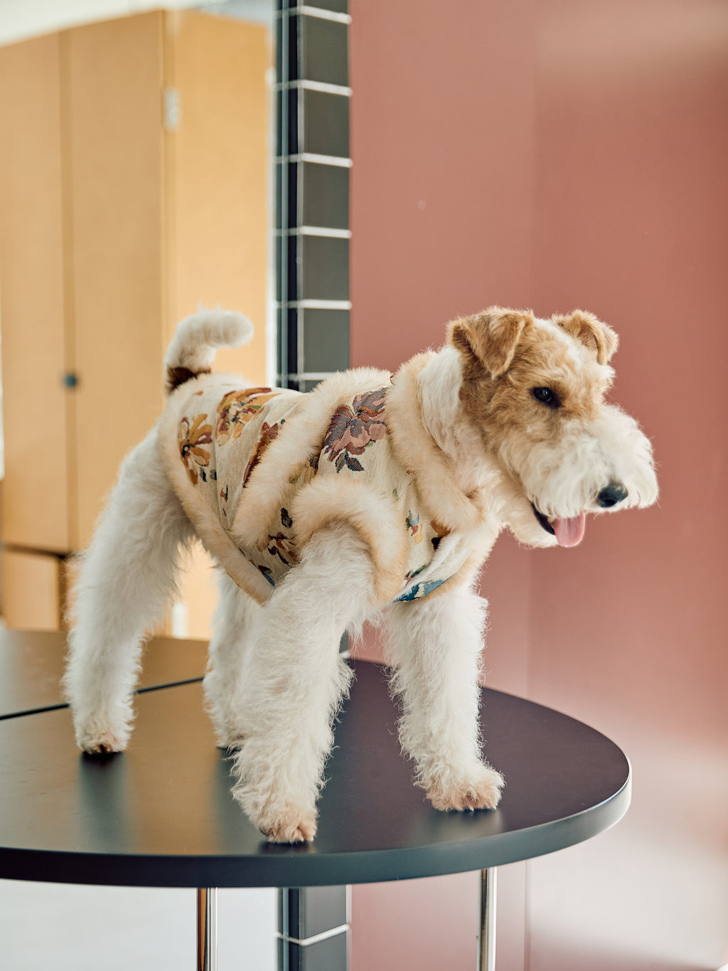 Ivory Floral Brocade Dog Vest – Plush Faux-Fur Trim