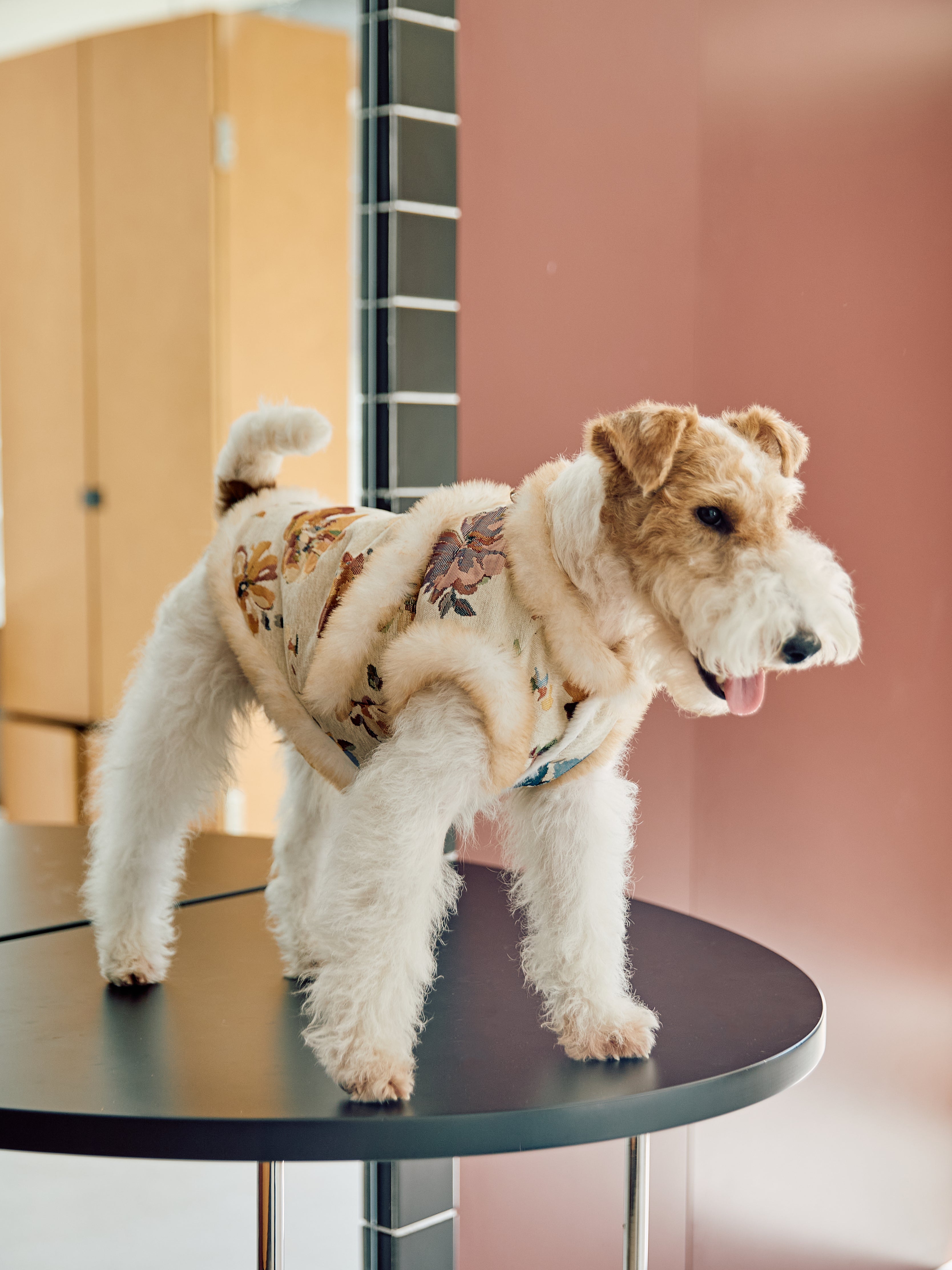 Ivory Floral Brocade Dog Vest – Plush Faux-Fur Trim