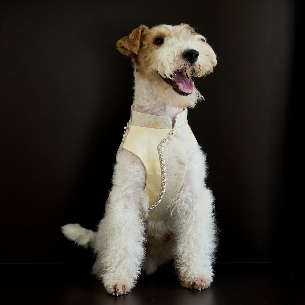 Champagne Beaded Dog Cape – Ivory Jacquard Vest
