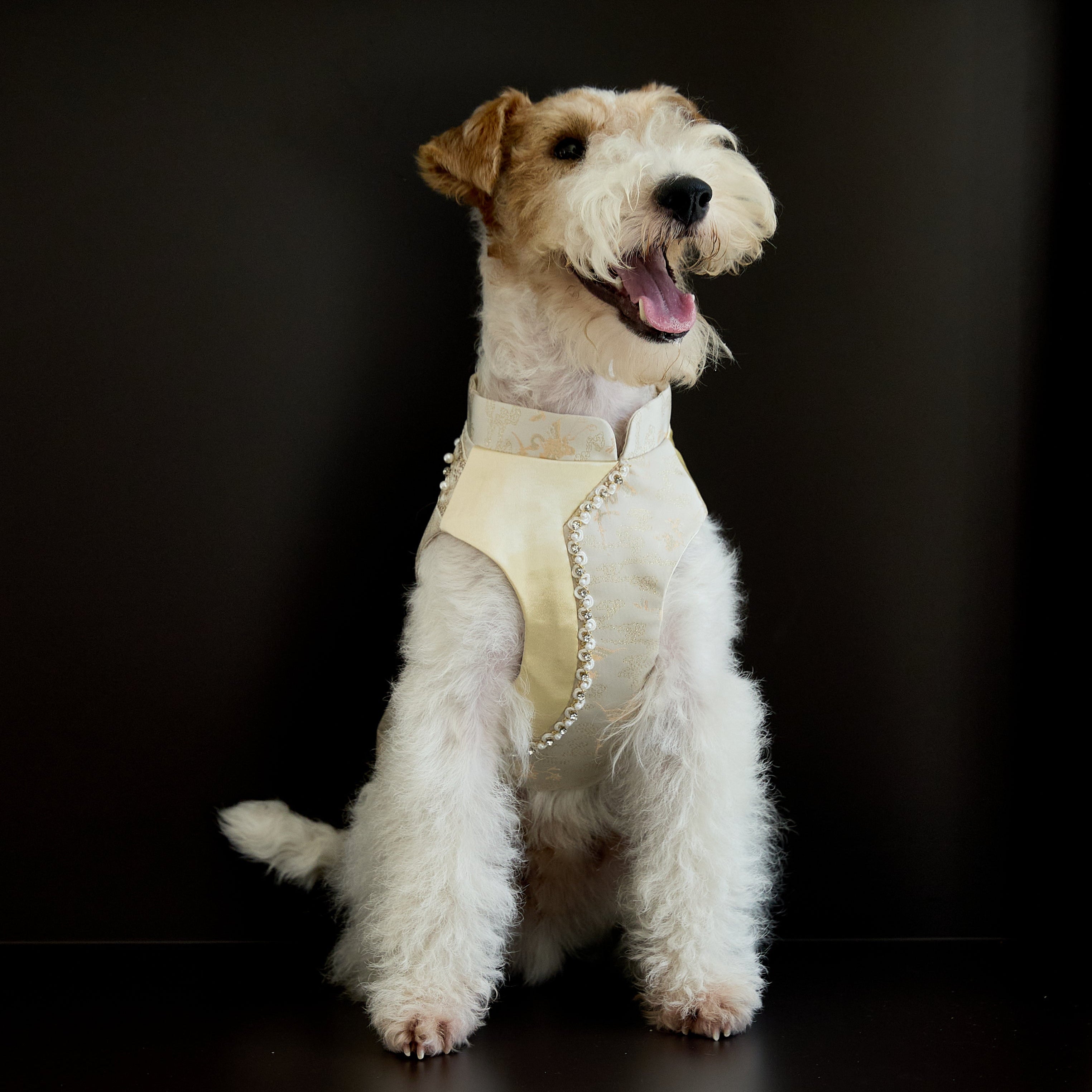 Champagne Beaded Dog Cape – Ivory Jacquard Vest