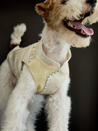 Champagne Beaded Dog Cape – Ivory Jacquard Vest