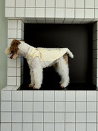 Champagne Beaded Dog Cape – Ivory Jacquard Vest