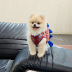 Crimson Brocade Dog Dress – Cobalt Ruffle Skirt