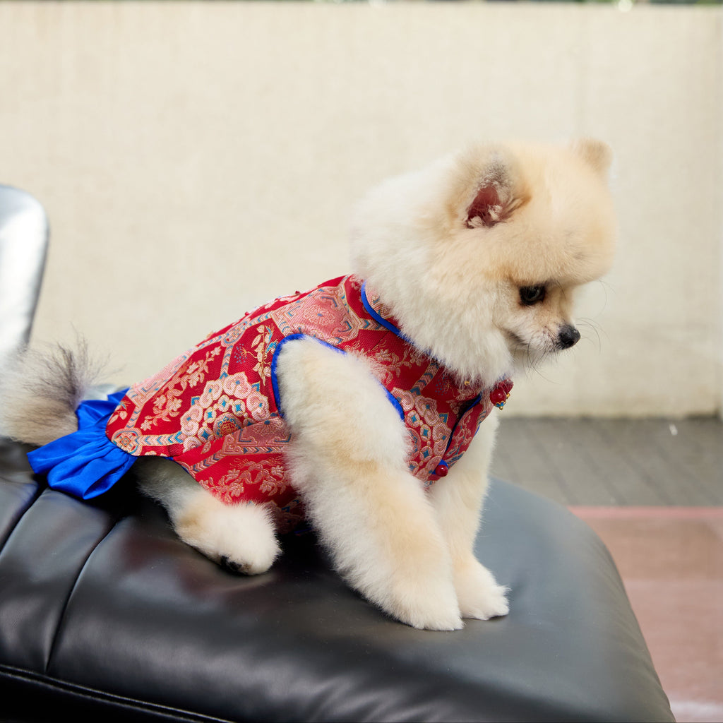Crimson Brocade Dog Dress – Cobalt Ruffle Skirt