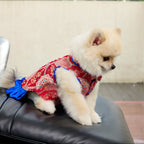 Crimson Brocade Dog Dress – Cobalt Ruffle Skirt