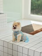 Powder Blue Brocade Dog Dress – Ruffled Cape Hem