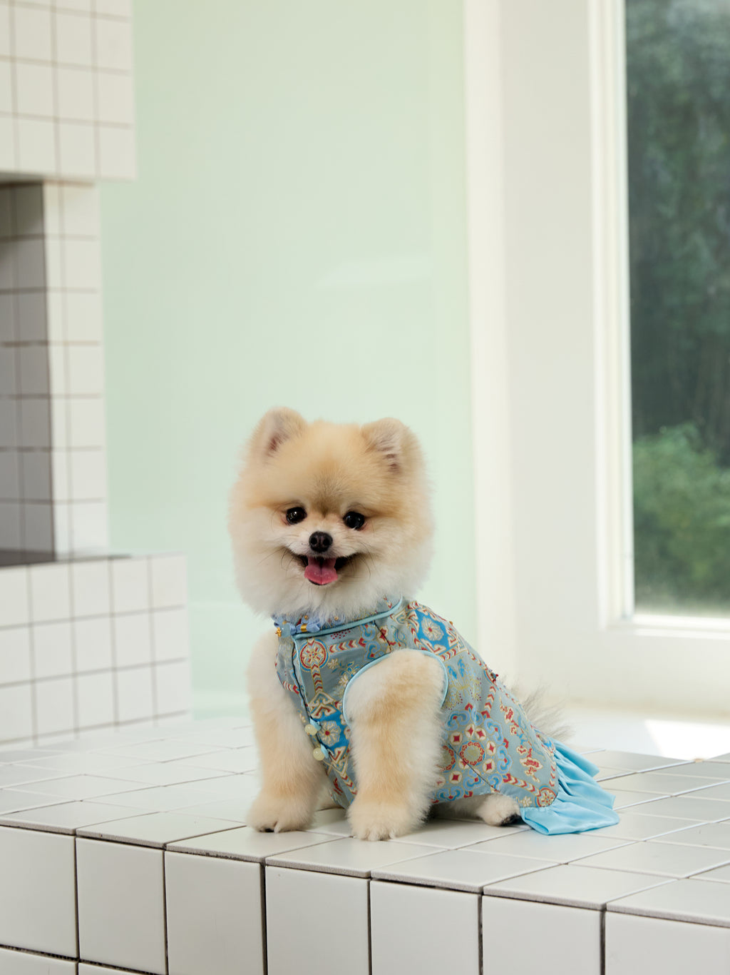 Powder Blue Brocade Dog Dress – Ruffled Cape Hem