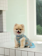 Powder Blue Brocade Dog Dress – Ruffled Cape Hem