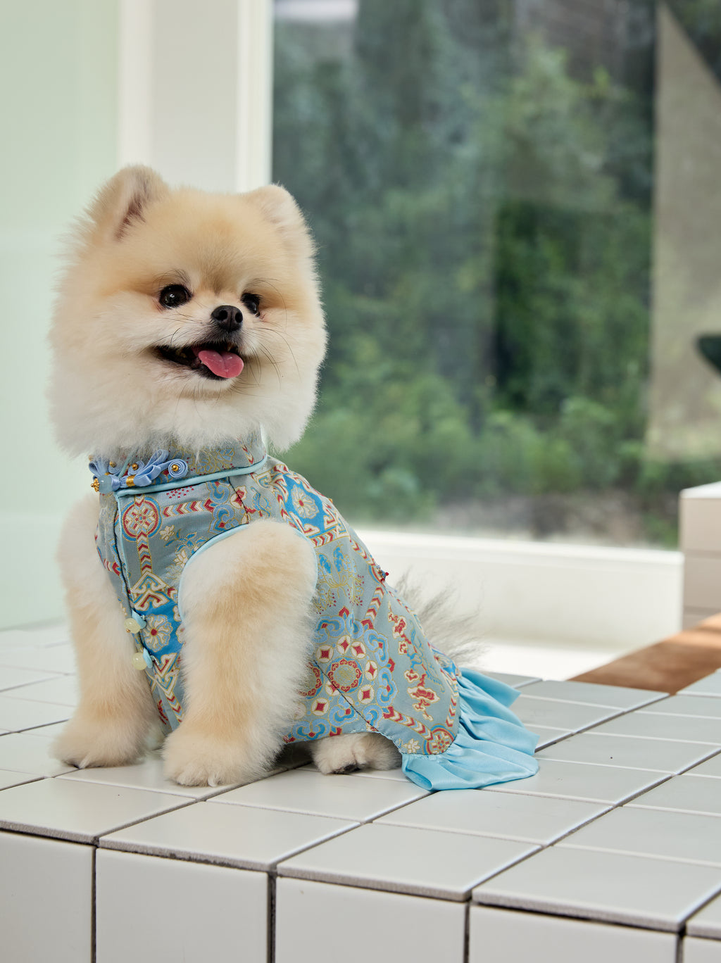 Powder Blue Brocade Dog Dress – Ruffled Cape Hem