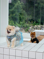 Powder Blue Brocade Dog Dress – Ruffled Cape Hem