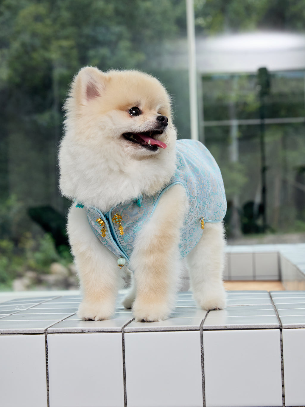 Celadon Brocade Dog Vest – Jade Charm & Gold Toggles