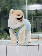 Celadon Brocade Dog Vest – Jade Charm & Gold Toggles