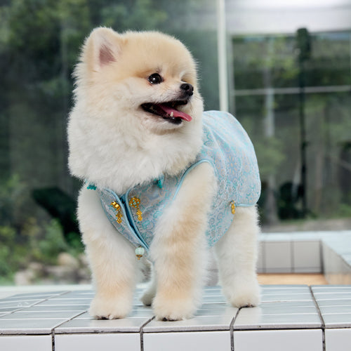Celadon Brocade Dog Vest – Jade Charm & Gold Toggles
