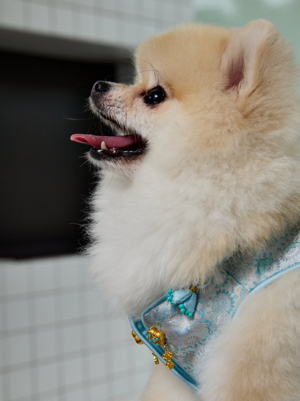 Celadon Brocade Dog Vest – Jade Charm & Gold Toggles