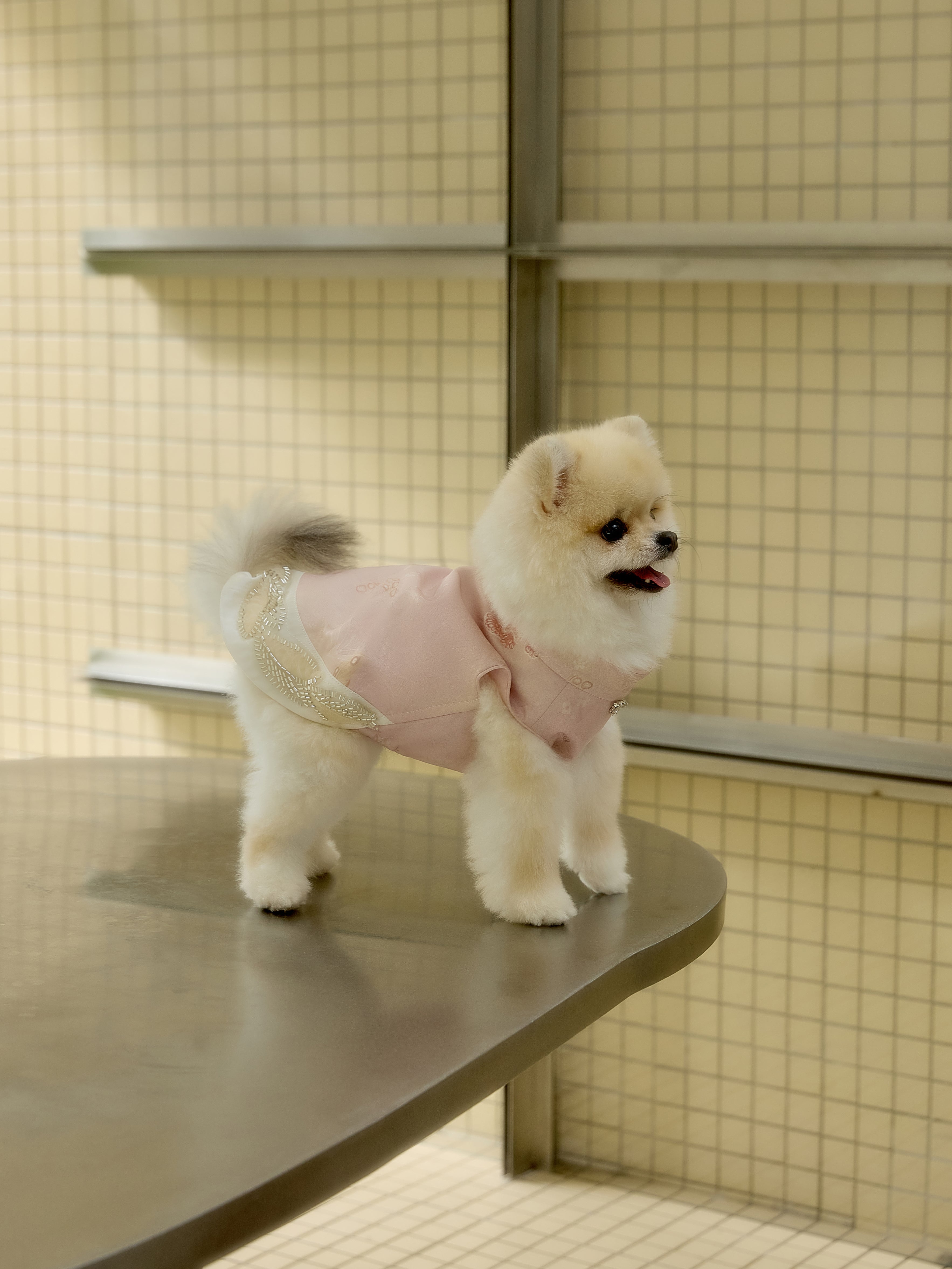 Blush Pink Dog Vest – Crystal-Look Charm & Beaded Trim