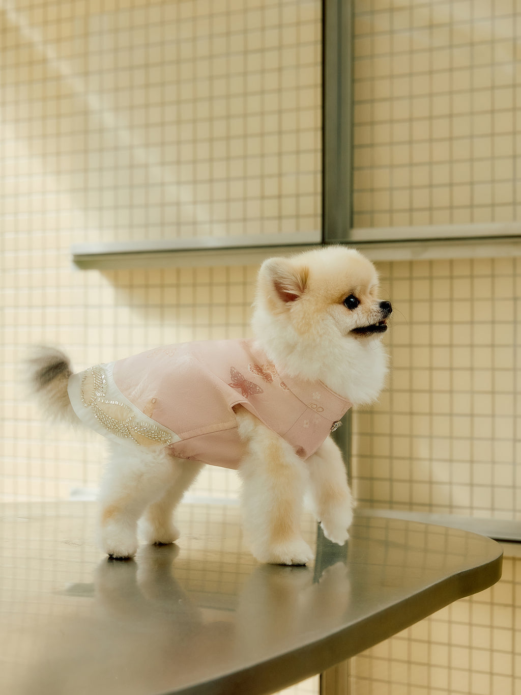 Blush Pink Dog Vest – Crystal-Look Charm & Beaded Trim
