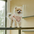 Blush Pink Dog Vest – Crystal-Look Charm & Beaded Trim