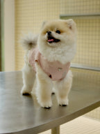Blush Pink Dog Vest – Crystal-Look Charm & Beaded Trim