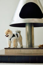Black Floral Brocade Dog Vest – Ivory Faux-Fur Trim