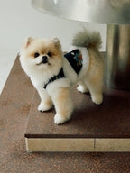 Black Floral Brocade Dog Vest – Ivory Faux-Fur Trim