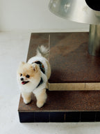 Black Floral Brocade Dog Vest – Ivory Faux-Fur Trim