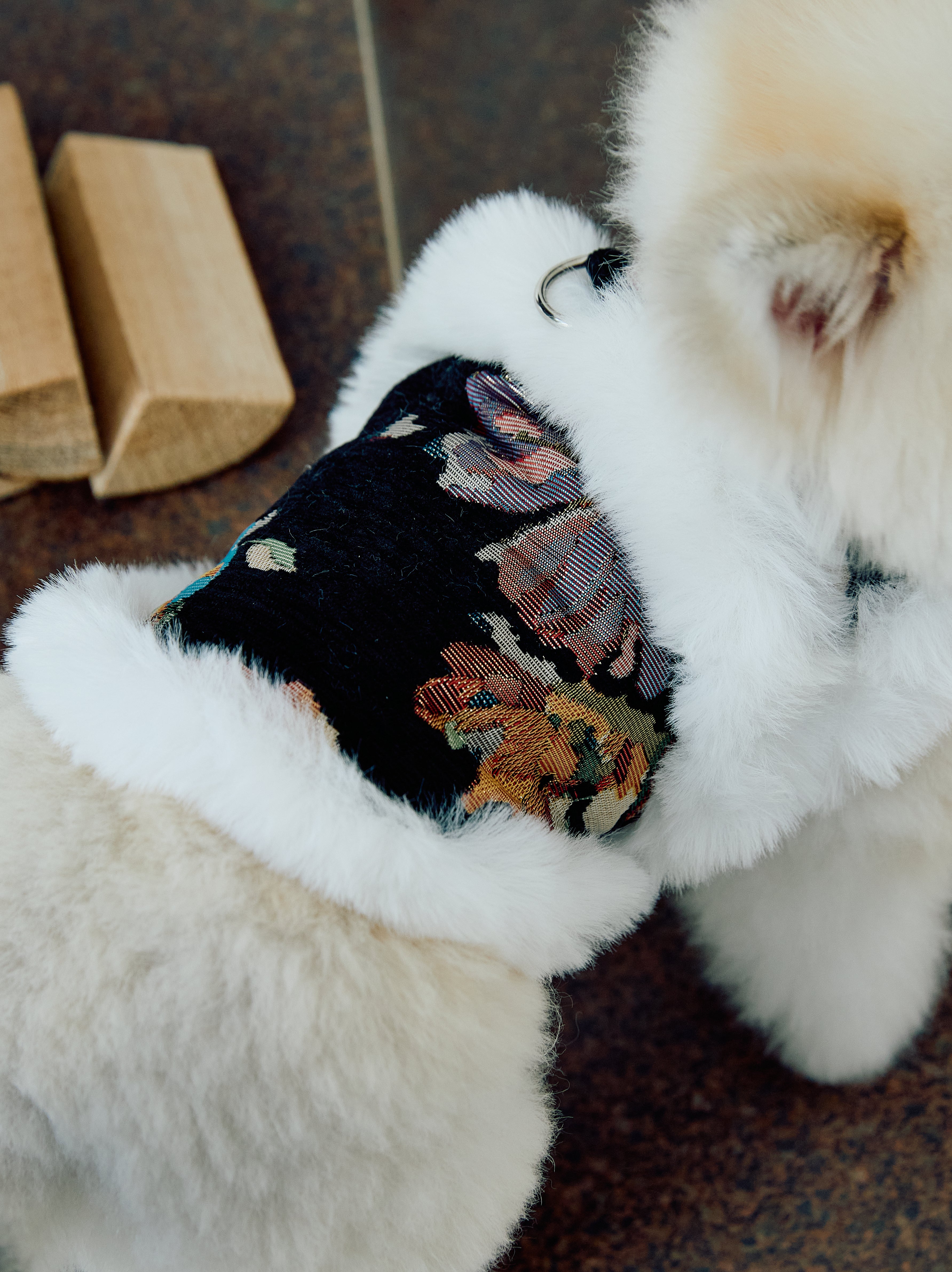 Black Floral Brocade Dog Vest – Ivory Faux-Fur Trim