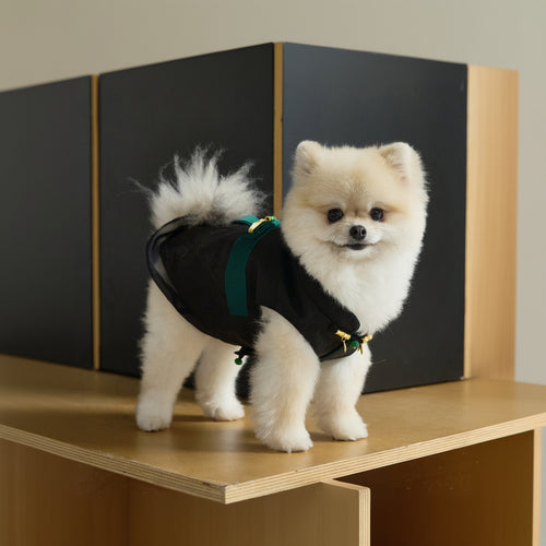 Black Dog Cape – Emerald Band & Jade Toggle