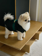 Black Dog Cape – Emerald Band & Jade Toggle