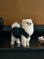 Black Dog Cape – Emerald Band & Jade Toggle